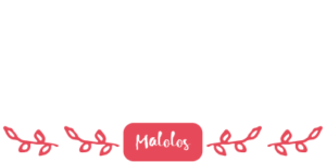 logo casa anselmo